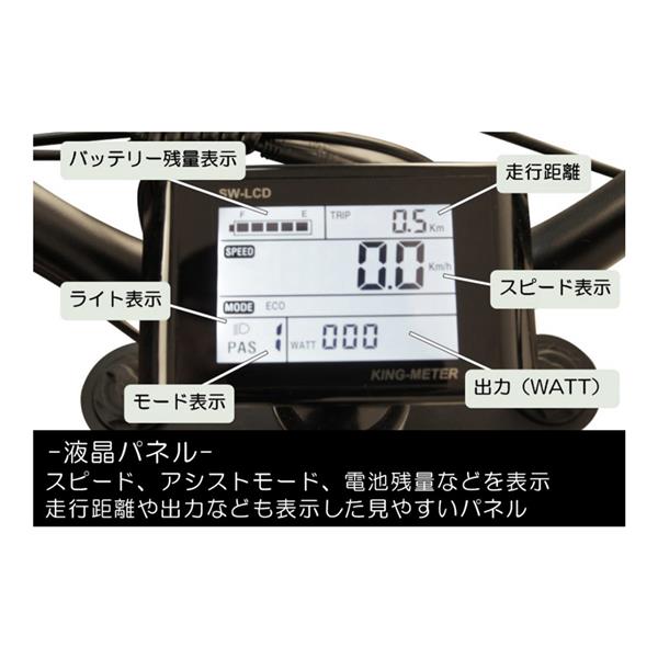 CYCOO GHOST Plus 電動アシスト自転車 画像4 | lecyc ル・サイク