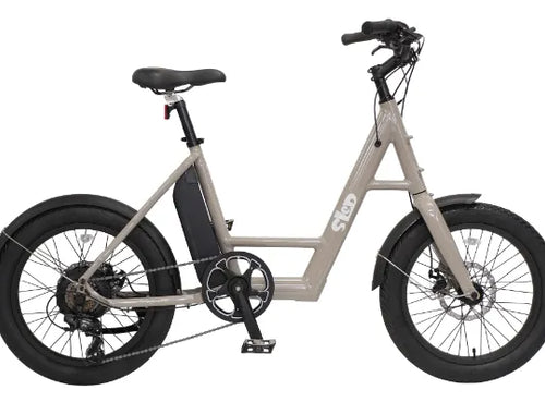 20 eBike Flat